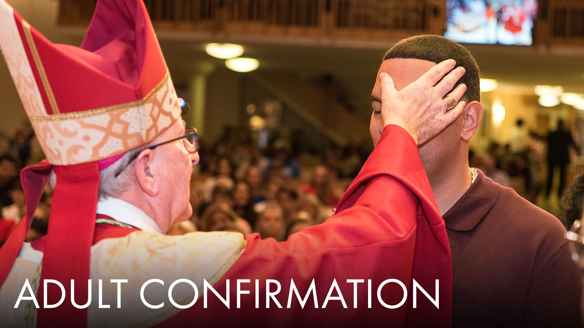 Adult Confirmation image